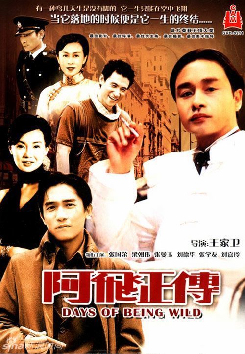 UniversityofWestFlora会计文凭证书